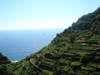 13_Corniglia.JPG