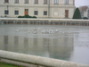 Nome File=37_Belvedere.jpg
Peso File=4572KB
Dimensioni=2816x2112
Data inserimento=Ago 10, 2007 37_Belvedere.jpg