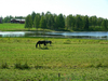 Nome File=107_verso_Oulu.jpg
Peso File=5365KB
Dimensioni=2816x2112
Data inserimento=Ago 22, 2007 107_verso_Oulu.jpg