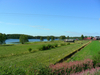 Nome File=108_verso_Oulu.jpg
Peso File=5794KB
Dimensioni=2816x2112
Data inserimento=Ago 22, 2007 108_verso_Oulu.jpg