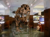 015_oslo_paleontological_museum.jpg
