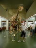 016_oslo_paleontological_museum.jpg