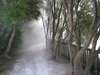 Nome File=15.jpg
Peso File=979KB
Dimensioni=1600x1200
Data inserimento=Gen 11, 2008 15.jpg
